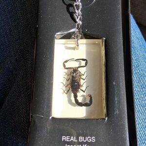 Scorpion Key Ring